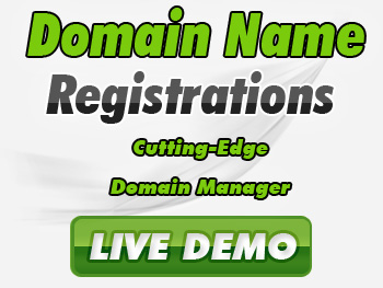 Low-cost domain registration service providers
